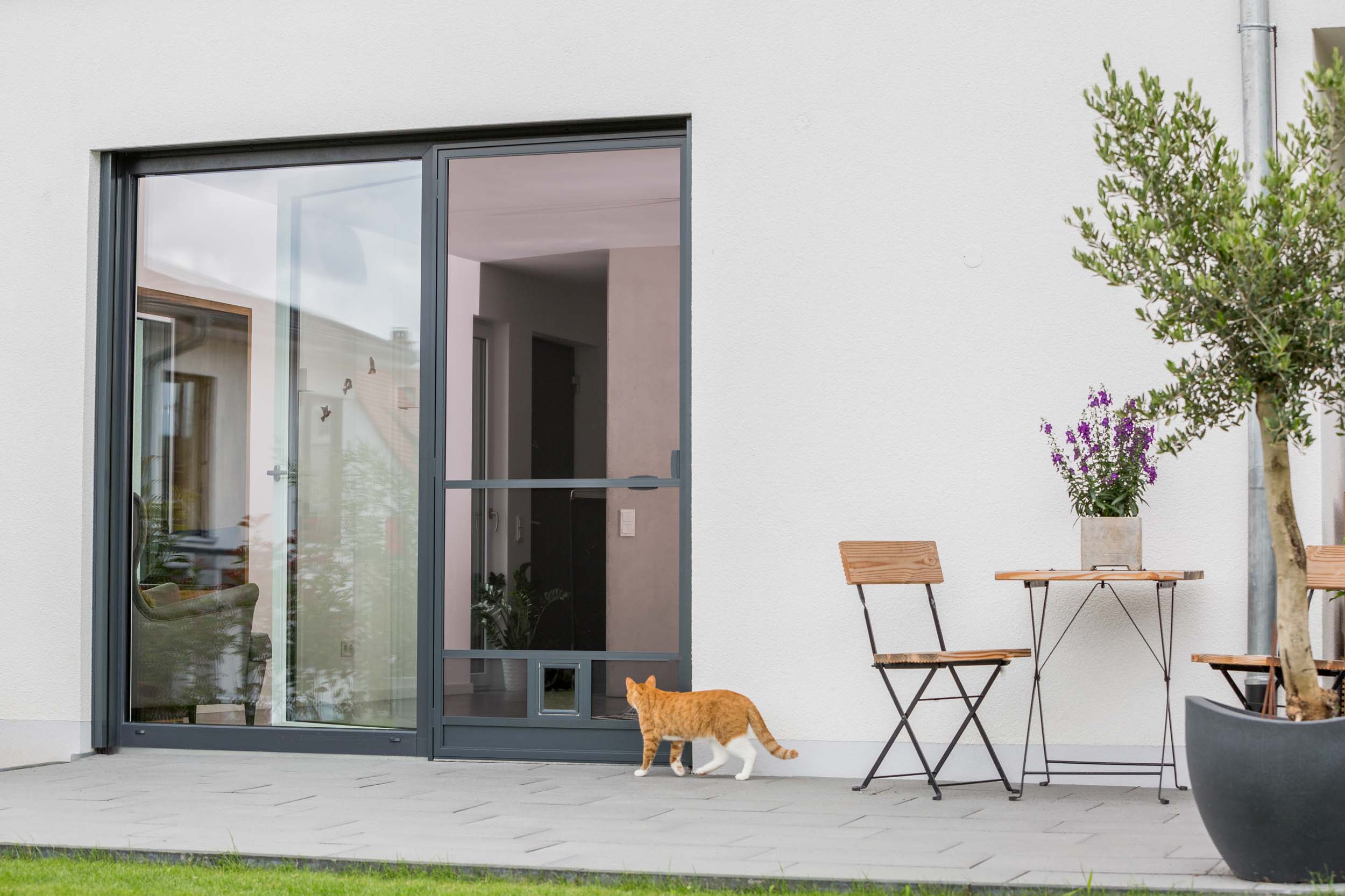 Erfal Insektenschutz 2025 22.jpg